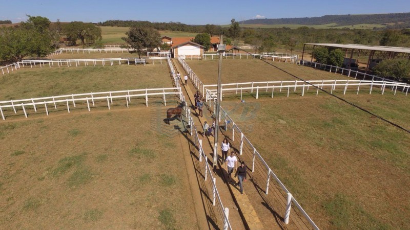 OPB Imóveis | Imobiliária em Ribeirão Preto | SP - Área - RURAL - SAO SIMAO