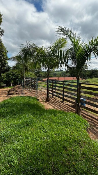 OPB Imóveis | Imobiliária em Ribeirão Preto | SP - Sítio - RURAL - Cajuru