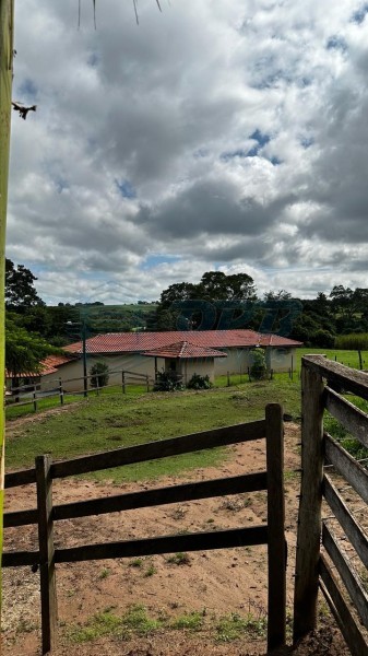 OPB Imóveis | Imobiliária em Ribeirão Preto | SP - Sítio - RURAL - Cajuru