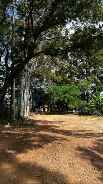 OPB Imóveis | Imobiliária em Ribeirão Preto | SP - Sítio - RURAL - Cajuru