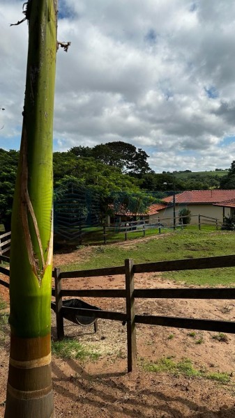 OPB Imóveis | Imobiliária em Ribeirão Preto | SP - Sítio - RURAL - Cajuru