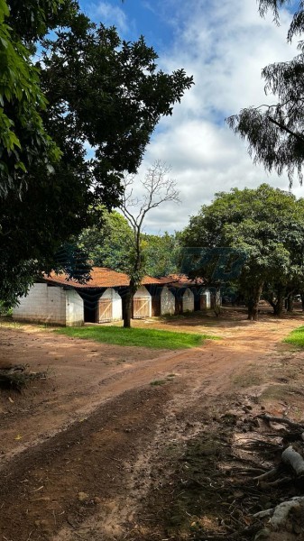 OPB Imóveis | Imobiliária em Ribeirão Preto | SP - Sítio - RURAL - Cajuru