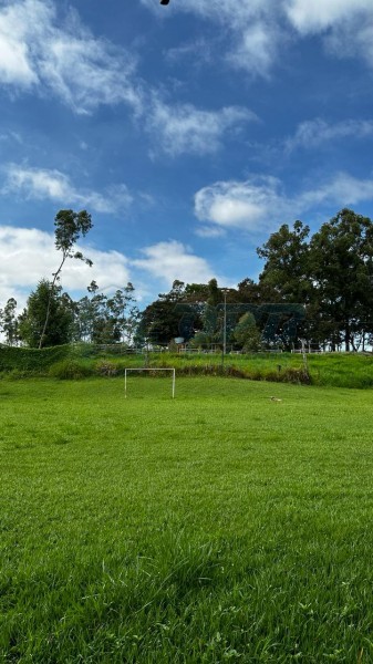 OPB Imóveis | Imobiliária em Ribeirão Preto | SP - Sítio - RURAL - Cajuru