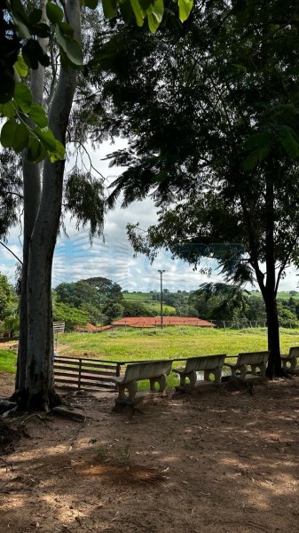 OPB Imóveis | Imobiliária em Ribeirão Preto | SP - Sítio - RURAL - Cajuru