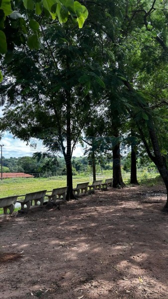 OPB Imóveis | Imobiliária em Ribeirão Preto | SP - Sítio - RURAL - Cajuru