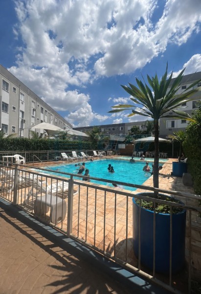 OPB Imóveis | Imobiliária em Ribeirão Preto | SP - Apartamento - Ipiranga - Ribeirão Preto