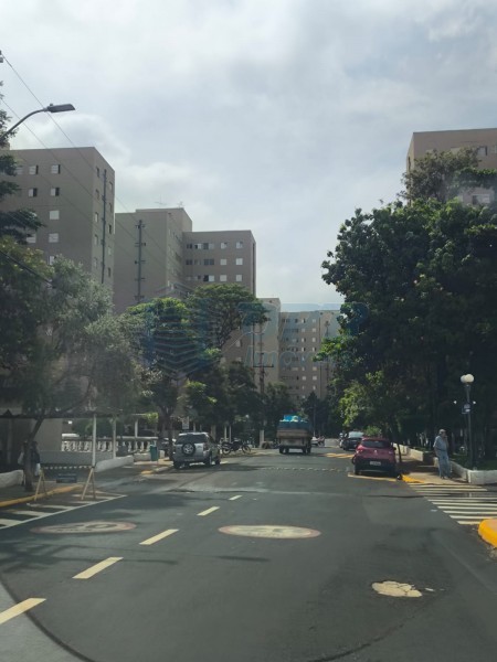 OPB Imóveis | Imobiliária em Ribeirão Preto | SP - Apartamento - Jardim Palma Travassos - Ribeirão Preto
