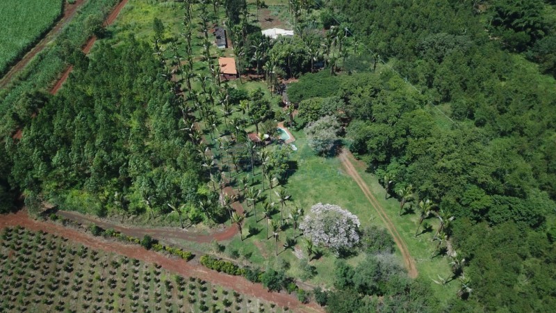 OPB Imóveis | Imobiliária em Ribeirão Preto | SP - Sítio - RURAL - SALES OLIVEIRA 