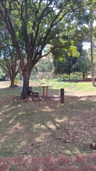 OPB Imóveis | Imobiliária em Ribeirão Preto | SP - Sítio - RURAL - SALES OLIVEIRA 