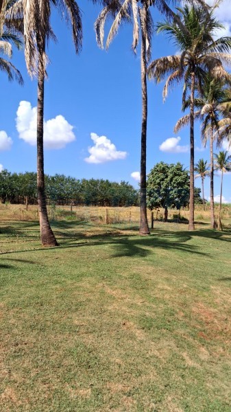 OPB Imóveis | Imobiliária em Ribeirão Preto | SP - Sítio - RURAL - SALES OLIVEIRA 