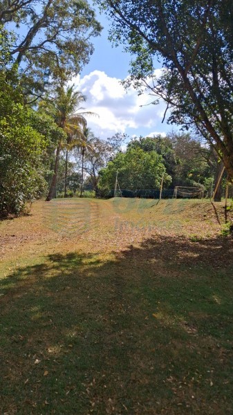 OPB Imóveis | Imobiliária em Ribeirão Preto | SP - Sítio - RURAL - SALES OLIVEIRA 