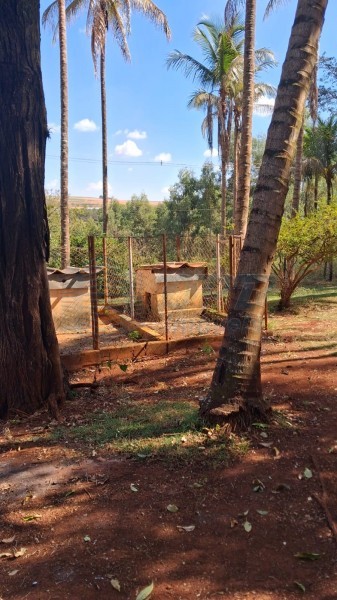 OPB Imóveis | Imobiliária em Ribeirão Preto | SP - Sítio - RURAL - SALES OLIVEIRA 