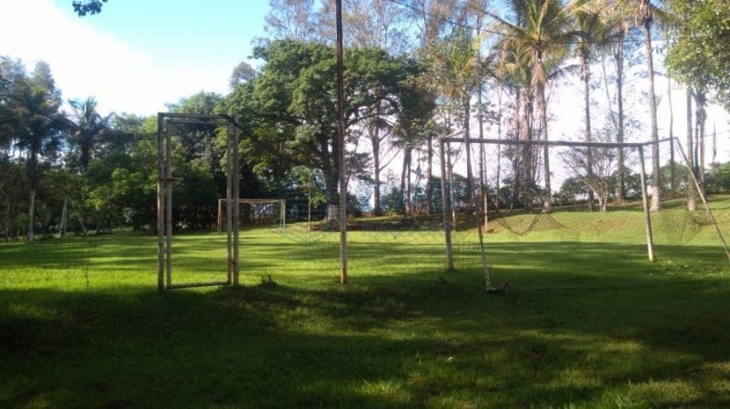 OPB Imóveis | Imobiliária em Ribeirão Preto | SP - Sítio - RURAL - SALES OLIVEIRA 