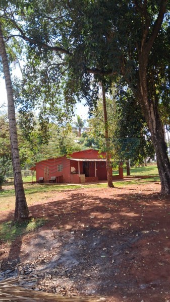 OPB Imóveis | Imobiliária em Ribeirão Preto | SP - Sítio - RURAL - SALES OLIVEIRA 