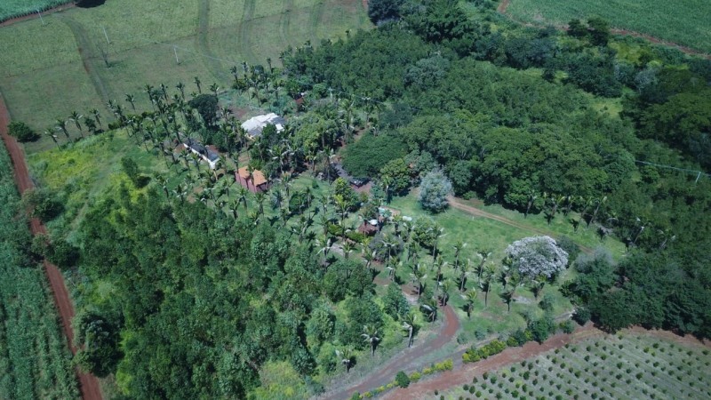 OPB Imóveis | Imobiliária em Ribeirão Preto | SP - Sítio - RURAL - SALES OLIVEIRA 
