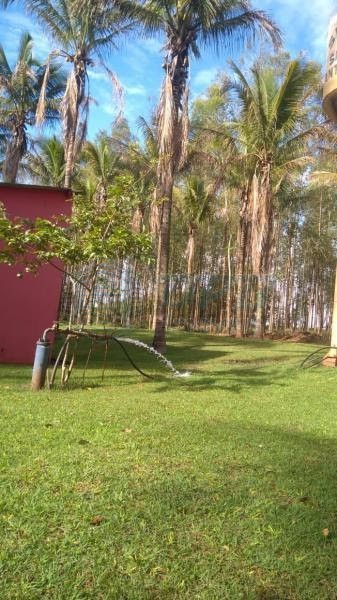 OPB Imóveis | Imobiliária em Ribeirão Preto | SP - Sítio - RURAL - SALES OLIVEIRA 