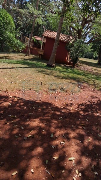 OPB Imóveis | Imobiliária em Ribeirão Preto | SP - Sítio - RURAL - SALES OLIVEIRA 