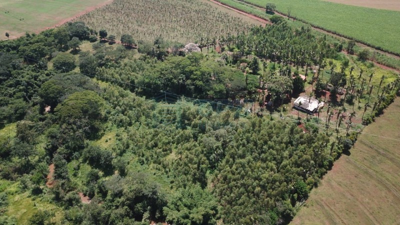 OPB Imóveis | Imobiliária em Ribeirão Preto | SP - Sítio - RURAL - SALES OLIVEIRA 