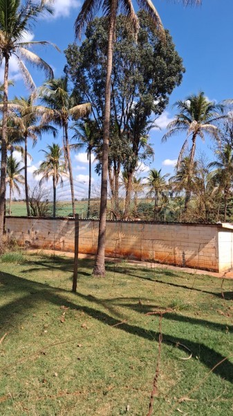 OPB Imóveis | Imobiliária em Ribeirão Preto | SP - Sítio - RURAL - SALES OLIVEIRA 