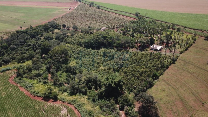 OPB Imóveis | Imobiliária em Ribeirão Preto | SP - Sítio - RURAL - SALES OLIVEIRA 
