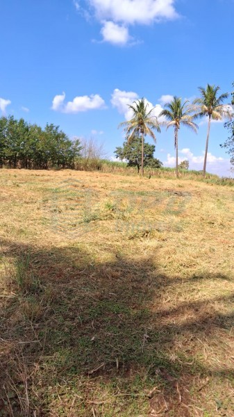 OPB Imóveis | Imobiliária em Ribeirão Preto | SP - Sítio - RURAL - SALES OLIVEIRA 