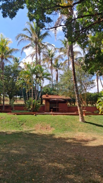OPB Imóveis | Imobiliária em Ribeirão Preto | SP - Sítio - RURAL - SALES OLIVEIRA 