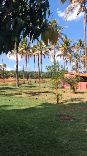 OPB Imóveis | Imobiliária em Ribeirão Preto | SP - Sítio - RURAL - SALES OLIVEIRA 