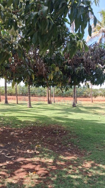 OPB Imóveis | Imobiliária em Ribeirão Preto | SP - Sítio - RURAL - SALES OLIVEIRA 
