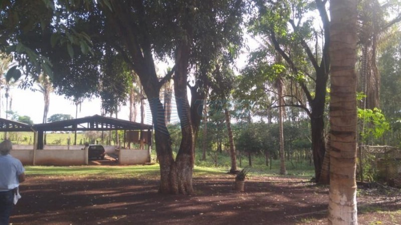 OPB Imóveis | Imobiliária em Ribeirão Preto | SP - Sítio - RURAL - SALES OLIVEIRA 