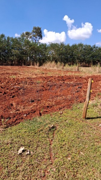 OPB Imóveis | Imobiliária em Ribeirão Preto | SP - Sítio - RURAL - SALES OLIVEIRA 