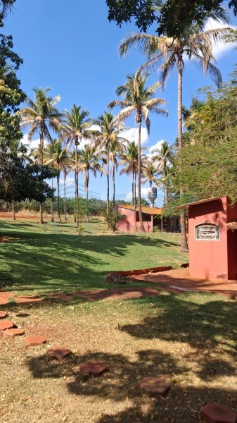 OPB Imóveis | Imobiliária em Ribeirão Preto | SP - Sítio - RURAL - SALES OLIVEIRA 