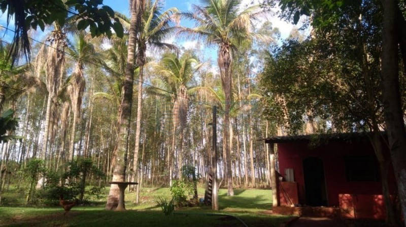 OPB Imóveis | Imobiliária em Ribeirão Preto | SP - Sítio - RURAL - SALES OLIVEIRA 