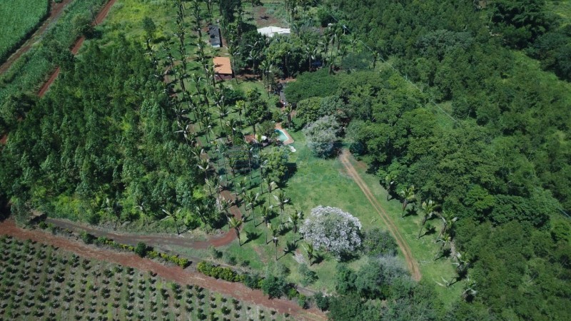 OPB Imóveis | Imobiliária em Ribeirão Preto | SP - Sítio - RURAL - SALES OLIVEIRA 