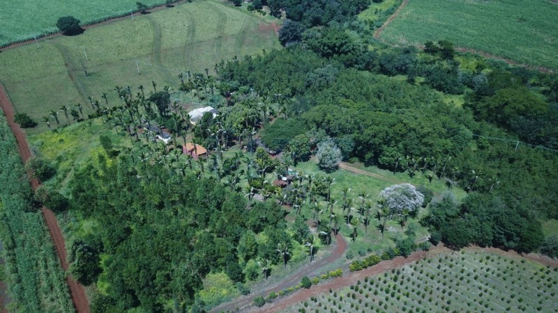 OPB Imóveis | Imobiliária em Ribeirão Preto | SP - Sítio - RURAL - SALES OLIVEIRA 
