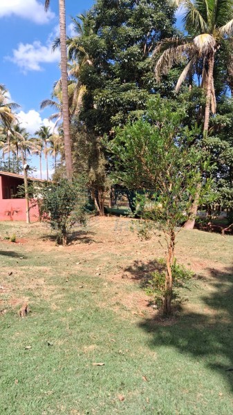 OPB Imóveis | Imobiliária em Ribeirão Preto | SP - Sítio - RURAL - SALES OLIVEIRA 