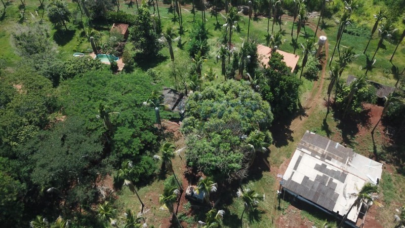 OPB Imóveis | Imobiliária em Ribeirão Preto | SP - Sítio - RURAL - SALES OLIVEIRA 