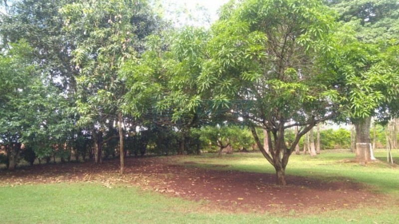 OPB Imóveis | Imobiliária em Ribeirão Preto | SP - Sítio - RURAL - SALES OLIVEIRA 