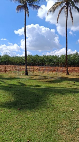 OPB Imóveis | Imobiliária em Ribeirão Preto | SP - Sítio - RURAL - SALES OLIVEIRA 