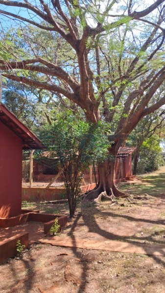 OPB Imóveis | Imobiliária em Ribeirão Preto | SP - Sítio - RURAL - SALES OLIVEIRA 