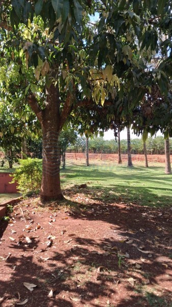 OPB Imóveis | Imobiliária em Ribeirão Preto | SP - Sítio - RURAL - SALES OLIVEIRA 