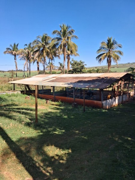 OPB Imóveis | Imobiliária em Ribeirão Preto | SP - Sítio - RURAL - SALES OLIVEIRA 