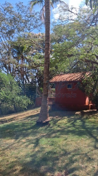 OPB Imóveis | Imobiliária em Ribeirão Preto | SP - Sítio - RURAL - SALES OLIVEIRA 