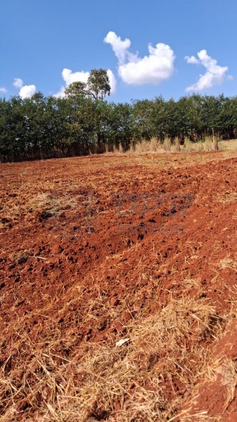 OPB Imóveis | Imobiliária em Ribeirão Preto | SP - Sítio - RURAL - SALES OLIVEIRA 