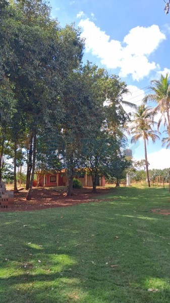 OPB Imóveis | Imobiliária em Ribeirão Preto | SP - Sítio - RURAL - SALES OLIVEIRA 