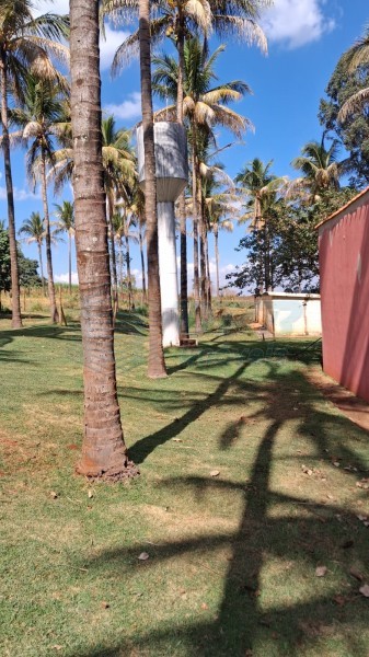 OPB Imóveis | Imobiliária em Ribeirão Preto | SP - Sítio - RURAL - SALES OLIVEIRA 
