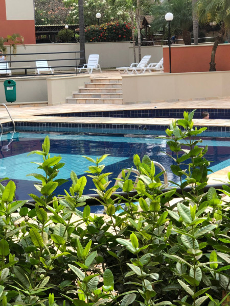 OPB Imóveis | Imobiliária em Ribeirão Preto | SP - Apartamento - Santa Cruz do Jose Jacques - Ribeirão Preto