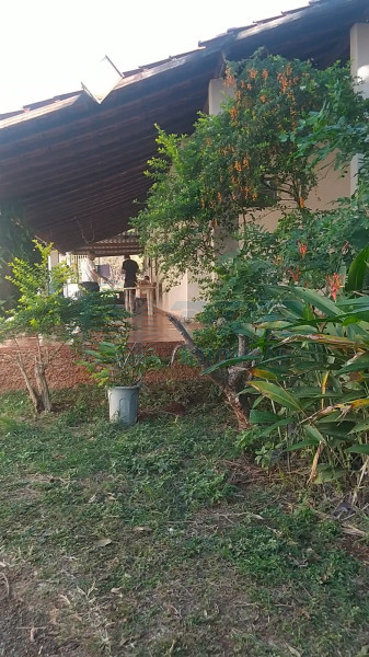 OPB Imóveis | Imobiliária em Ribeirão Preto | SP - Sítio - Recreio das Acacias - Ribeirão Preto