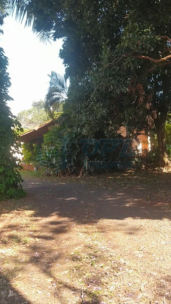 OPB Imóveis | Imobiliária em Ribeirão Preto | SP - Sítio - Recreio das Acacias - Ribeirão Preto