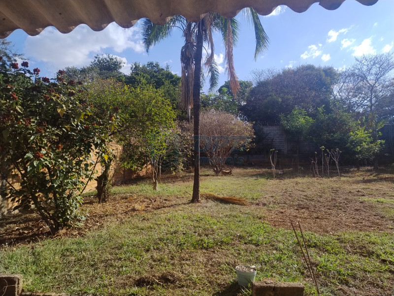 OPB Imóveis | Imobiliária em Ribeirão Preto | SP - Sítio - Recreio das Acacias - Ribeirão Preto