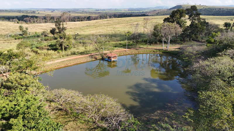 OPB Imóveis | Imobiliária em Ribeirão Preto | SP - Fazenda - RURAL - MOCOCA